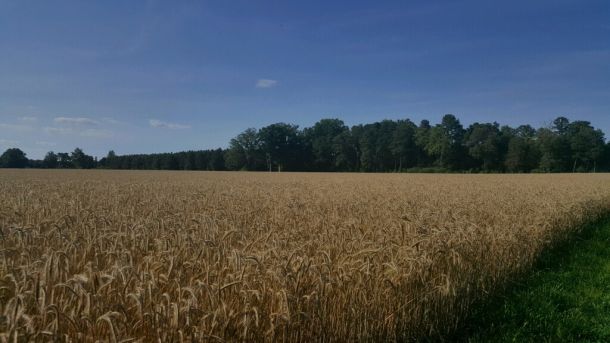 Photo Credit: Catoctin Creek Distilling Company