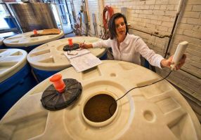 Becky Harris of Catoctin Creek, photo courtesy LoudounNow