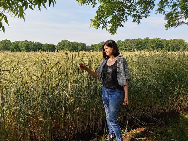 Becky in a field of rye grain.