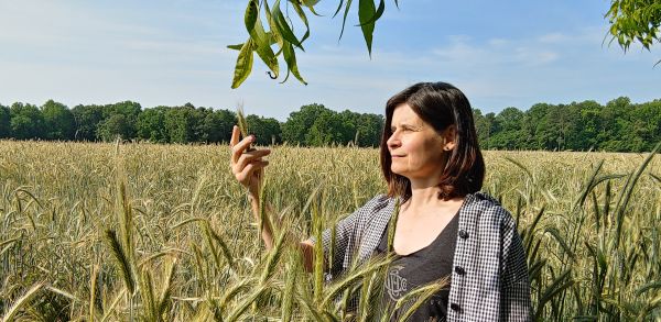 Becky Harris, Chief Distiller, Catoctin Creek in a field of rye.